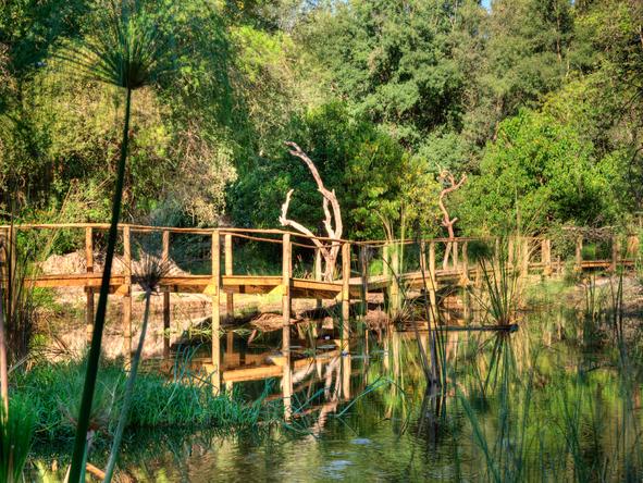 Camp Okuti - walkway
